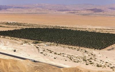 El agro israelí es el más innovador del mundo.