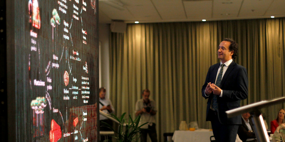 El crecimiento robusto de la forestación tiene un alto efecto multiplicador en la economía, sin descuidar el medioambiente.