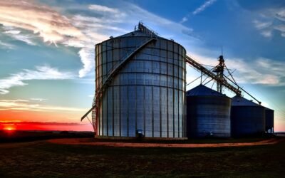 Valores de los productos agrícolas.