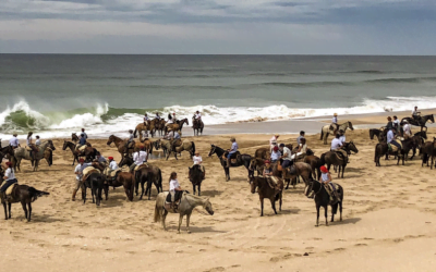 Se suspenden todas las actividades de caballos Criollos