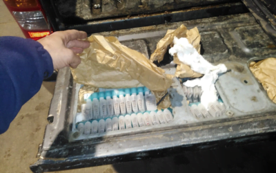 Contrabando sin límite: 200 abejas reina.