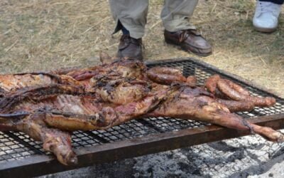 CAF invita a Aiguá, a celebrar la 11ª Fiesta del Cordero Serrano