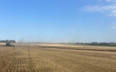 Panorama agrícola, análisis de Dufour Commodities.