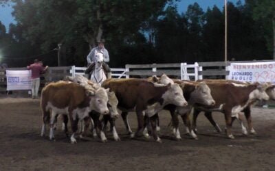 Con Leonardo Ruglio Bachino, auspicioso inicio de actividades de la novel firma.