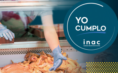 Plazos para regularizar pollerías.