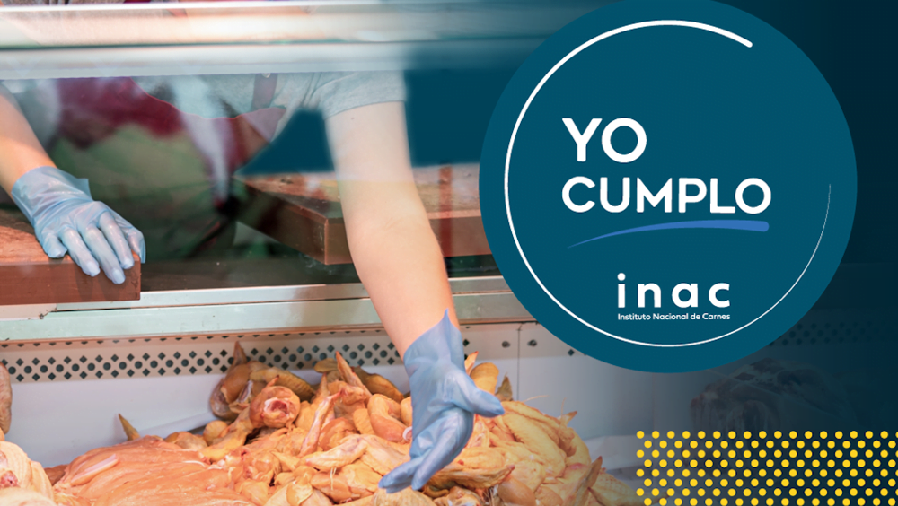 INAC recuerda: Pollerías tienen hasta el 1° de diciembre para inscribirse.