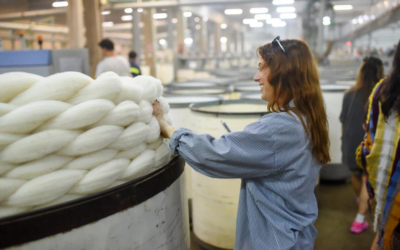 Muy leve suba de la lana en Austria: 8 centavos de dólar.