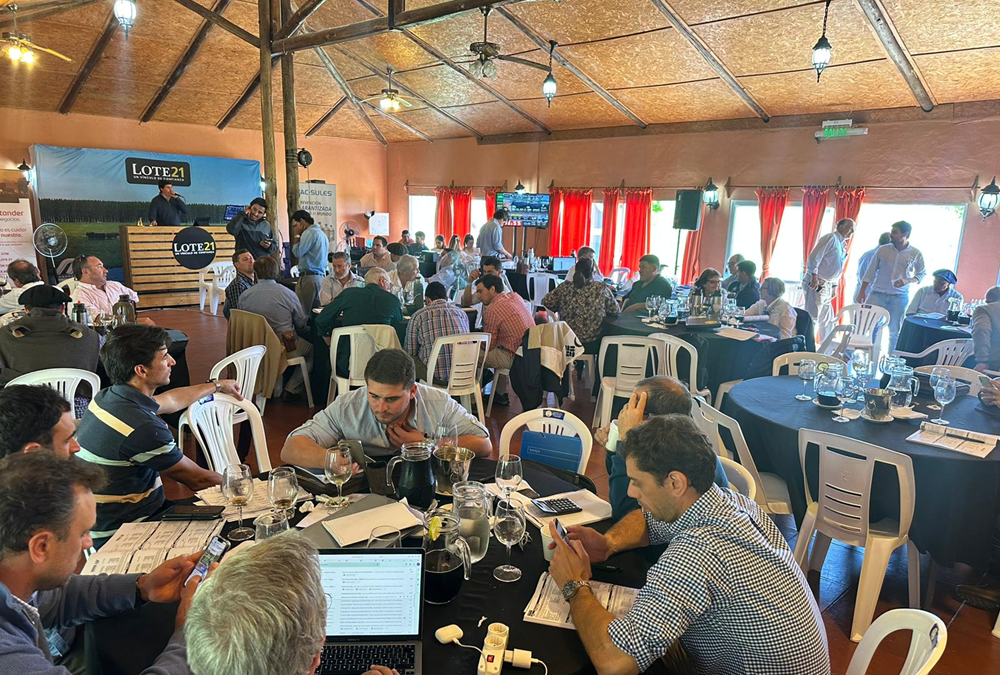 Lote 21, cerró el remate con 87,1% de colocación.