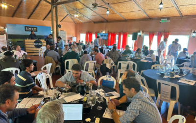 Lote 21, cerró el remate con 87,1% de colocación.