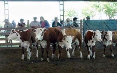 Ricardo Bachino Grosso tuvo una pista más alegre en Ortiz.