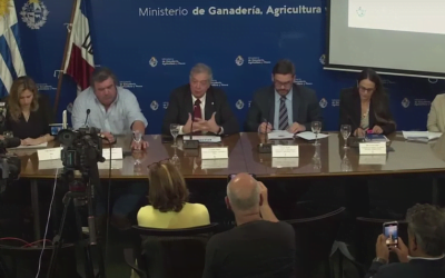 El 91% de la población rechaza la captura y sacrificio de perros sueltos.