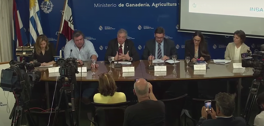 El 91% de la población rechaza la captura y sacrificio de perros sueltos.