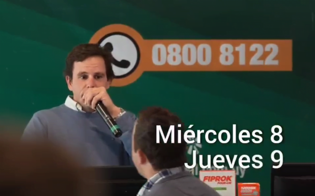 Hoy comienza el remate de Plaza Rural, con transmisión de Todo El Campo.