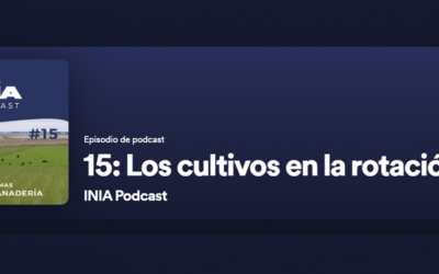 Podcast INIA: Arroz y ganadería. Los cultivos en rotación.