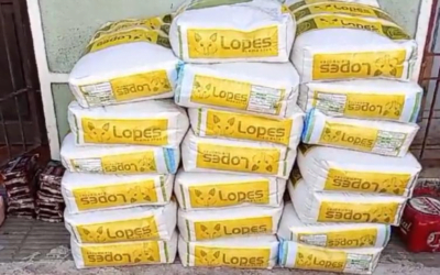 Mujer intentó ingresar 20 bolsas de semillas y fue formalizada.