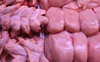 Las pollerías tendrán plazo de un mes para formalizarse sin costo ante INAC.