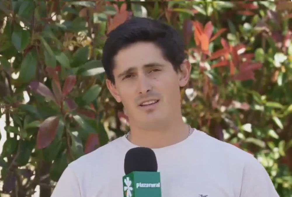 Plaza Rural vendió 9.357 vacunos, el 94% de la oferta.