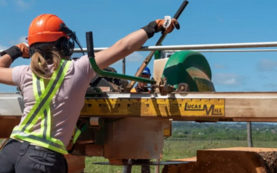 En Paraguay, el desarrollo forestal genera importante inversión.