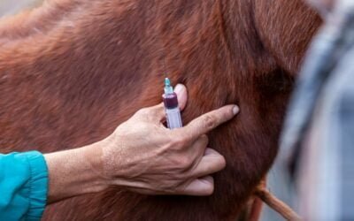 Imagina un mundo en que las infecciones y enfermedades no tengan cura.