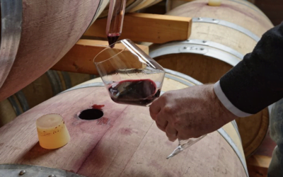 ¿Cómo se transforma el jugo de uva en vino?