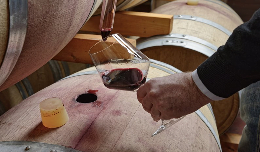 ¿Cómo se transforma el jugo de uva en vino?