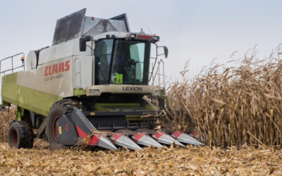 En tiempo de guerra: cosechas en Ucrania, y las prioridades presupuestales de Zelensky.