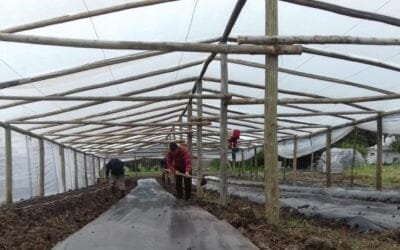 Llamado a interesados en el Proyecto de Inversión Granjero del Fideicomiso de Garantía de la Granja