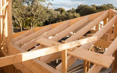 Últimos días para becas de movilidad de capacitación en el sector forestal.