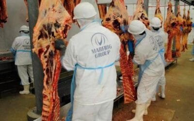 Treinta y dos millones de perdidas