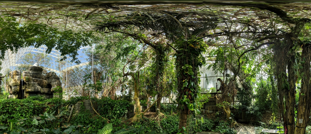 Los suelos en estrés por sequía filtran más compuestos orgánicos volátiles a la atmósfera