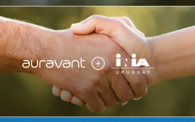 INIA y Auravant firmaron convenio para ofrecer nuevas aplicaciones INIA a productores agrícola-ganaderos.