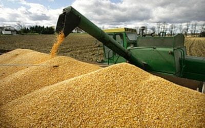 Bolivia consigue récord en las exportaciones alimentarias