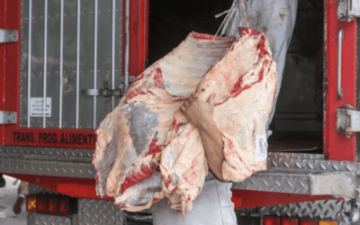 El Gobierno de Milei propone subir al 15% el impuesto de retenciones que se paga en Argentina por exportar carne de vacuno