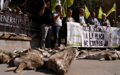 En España, manifestación contra la plaga de conejos termina con productores denunciados por maltrato animal.