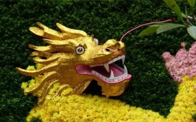 Desde 2013 China es el principal destino de las exportaciones uruguayas de bienes.