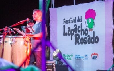 Se celebró la séptima edición del Festival del Lapacho Rosado en Puerto Conchillas.