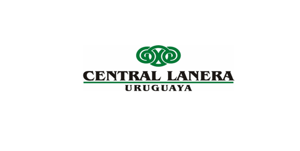 Operativo Ovinos de Central Lanera cierra el viernes, con precio promedio de US$ 2,80.
