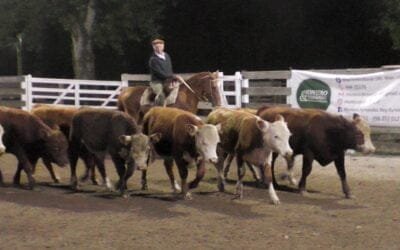 En dos jornadas y con destacados valores Montero y Fernández dispersó selecta oferta en el Campanero.