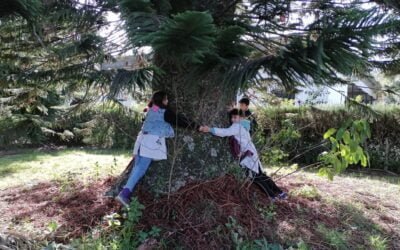 En 2023 más de 300 alumnos visitaron el vivero del MGAP.