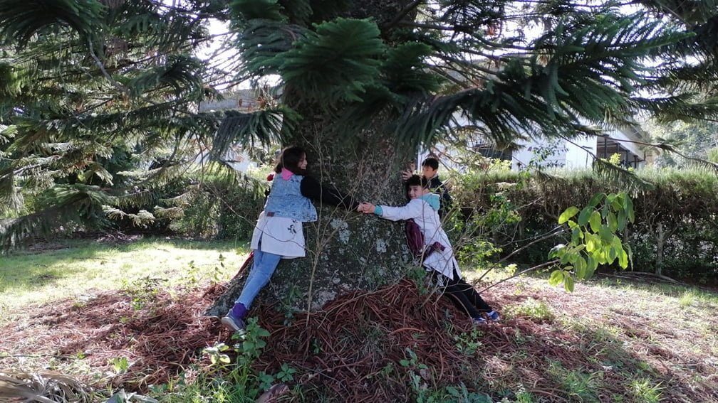 En 2023 más de 300 alumnos visitaron el vivero del MGAP.