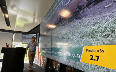 Exitoso remate de Plaza Rural: 98% de ventas.