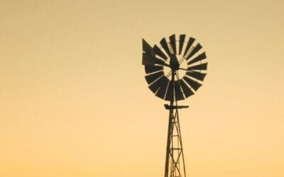 Esta semana Plaza Rural realiza el último remate del año.