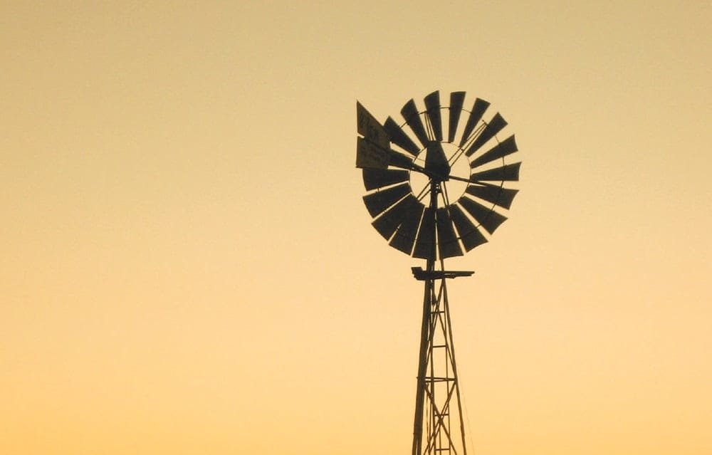 Esta semana Plaza Rural realiza el último remate del año.