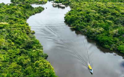Bajas precipitaciones afectan a ríos de la cuenca del Amazonas