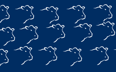 Informe Rosgan. Escenario 2024 con definiciones provenientes más de la oferta que de la demanda.
