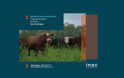 El 7 de diciembre, INAC presenta a los ganaderos el nuevo sistema de tipificación del ganado SAT.