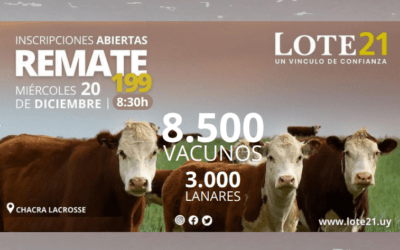 Llega el último remate 2023 de Lote 21.
