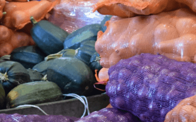 La UAM cerró el año con elevados niveles de compraventa.