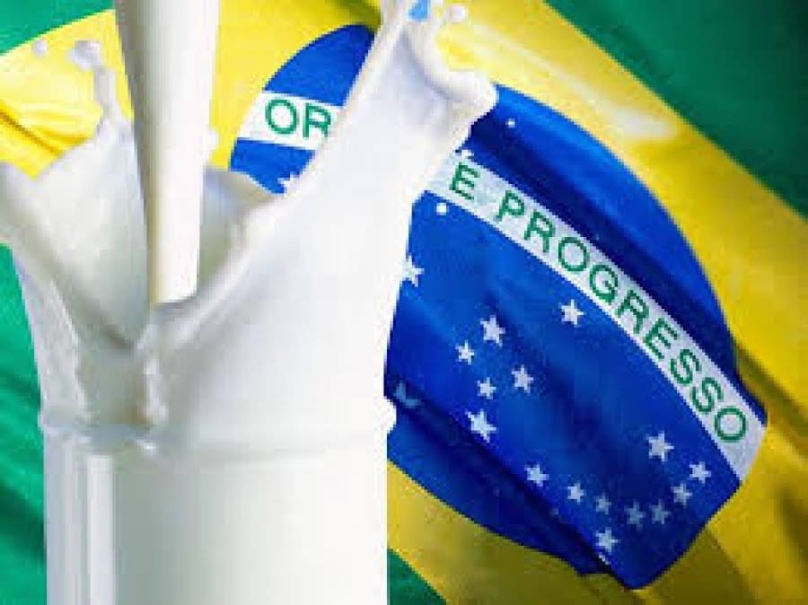 Se espera que Brasil tenga una menor producción de leche