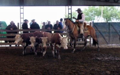 “Ortíz” mostró una pista muy firme